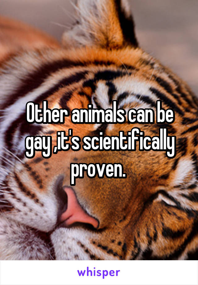 Other animals can be gay ,it's scientifically proven. 