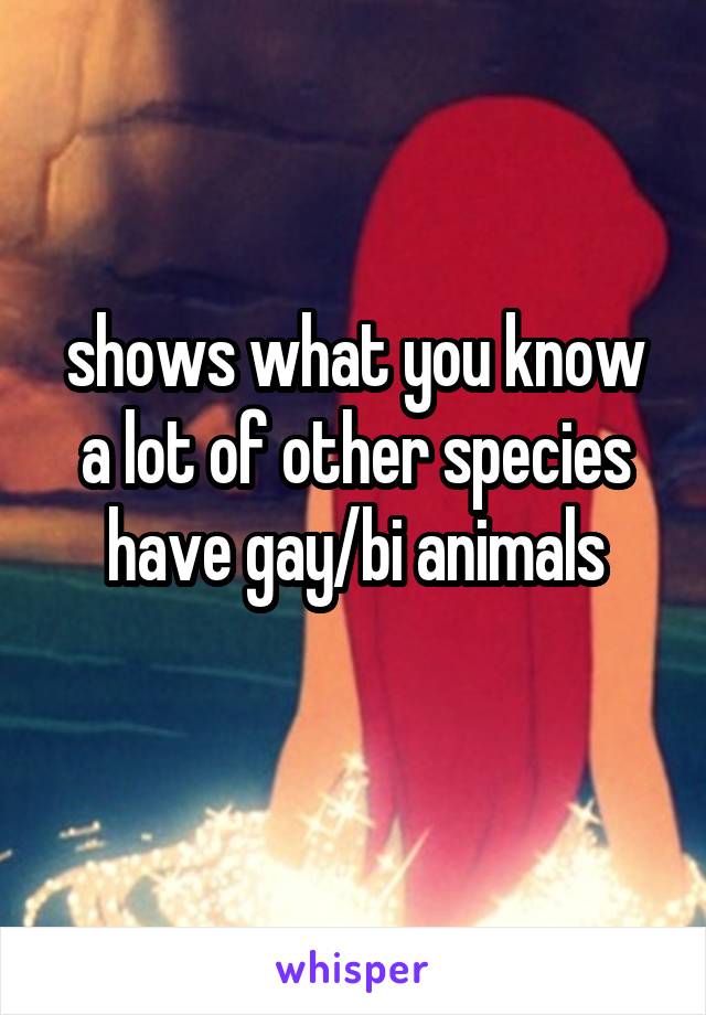 shows what you know a lot of other species have gay/bi animals
