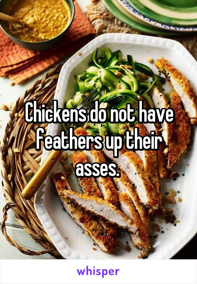 Chickens do not have feathers up their asses. 