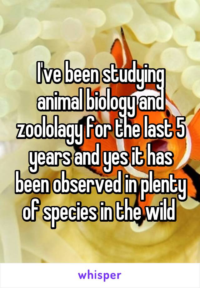 I've been studying animal biology and zoololagy for the last 5 years and yes it has been observed in plenty of species in the wild 