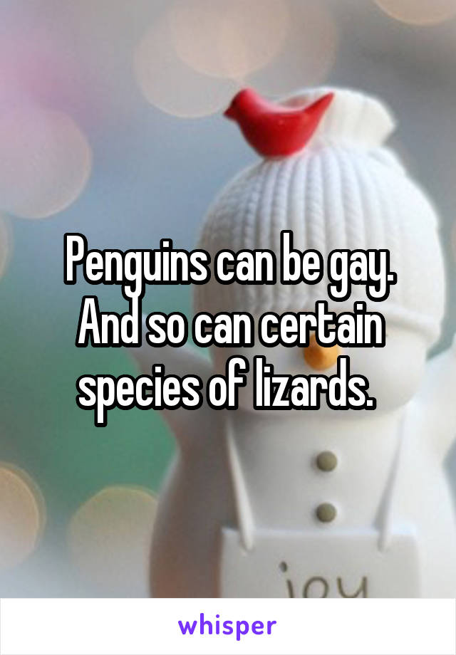 Penguins can be gay. And so can certain species of lizards. 