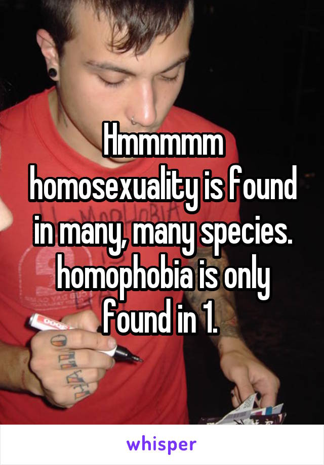 Hmmmmm homosexuality is found in many, many species. homophobia is only found in 1. 