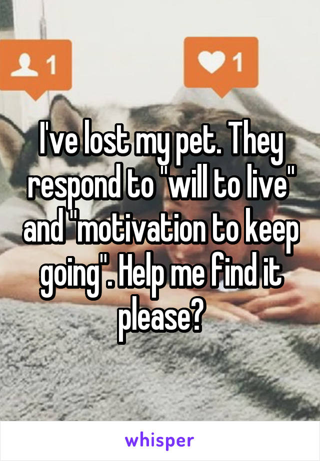 I've lost my pet. They respond to "will to live" and "motivation to keep going". Help me find it please?