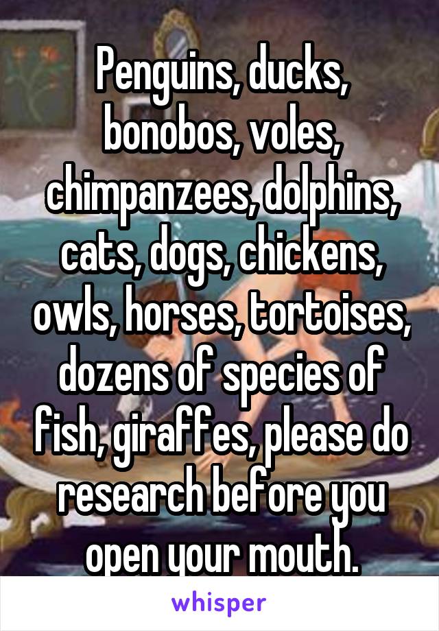 Penguins, ducks, bonobos, voles, chimpanzees, dolphins, cats, dogs, chickens, owls, horses, tortoises, dozens of species of fish, giraffes, please do research before you open your mouth.