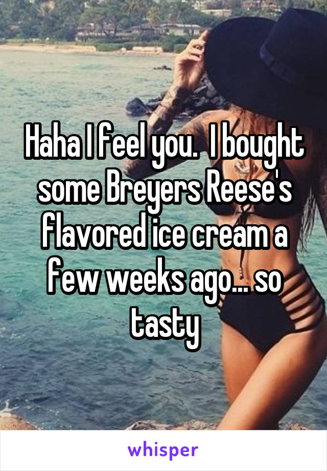 Haha I feel you.  I bought some Breyers Reese's flavored ice cream a few weeks ago... so tasty