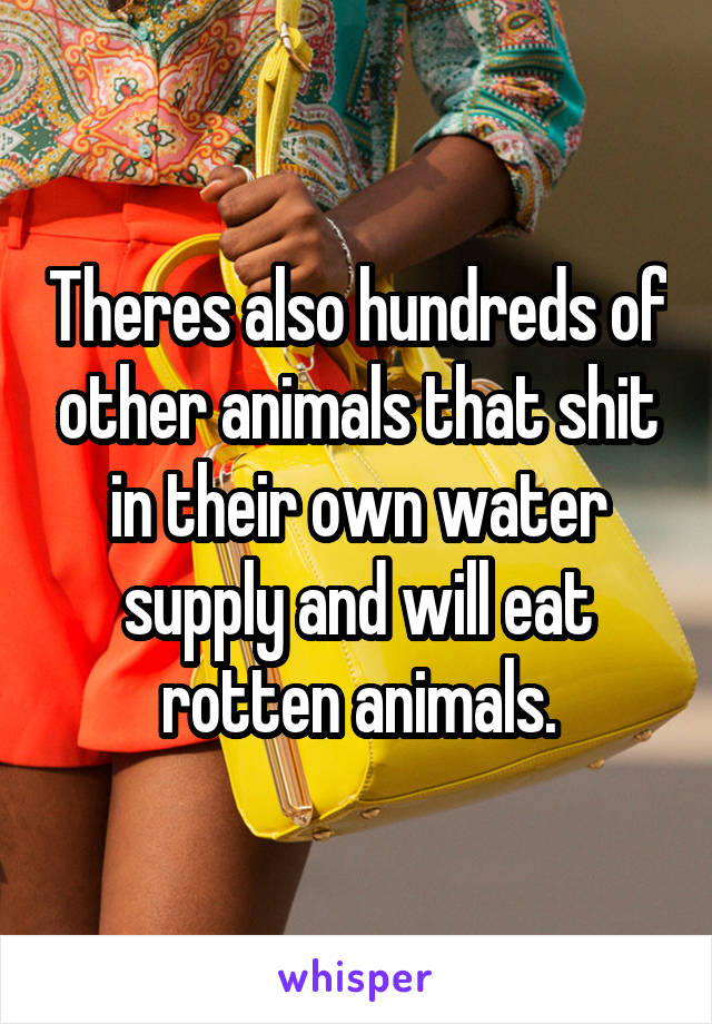 Theres also hundreds of other animals that shit in their own water supply and will eat rotten animals.