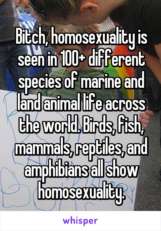 Bitch, homosexuality is seen in 100+ different species of marine and land animal life across the world. Birds, fish, mammals, reptiles, and amphibians all show homosexuality.