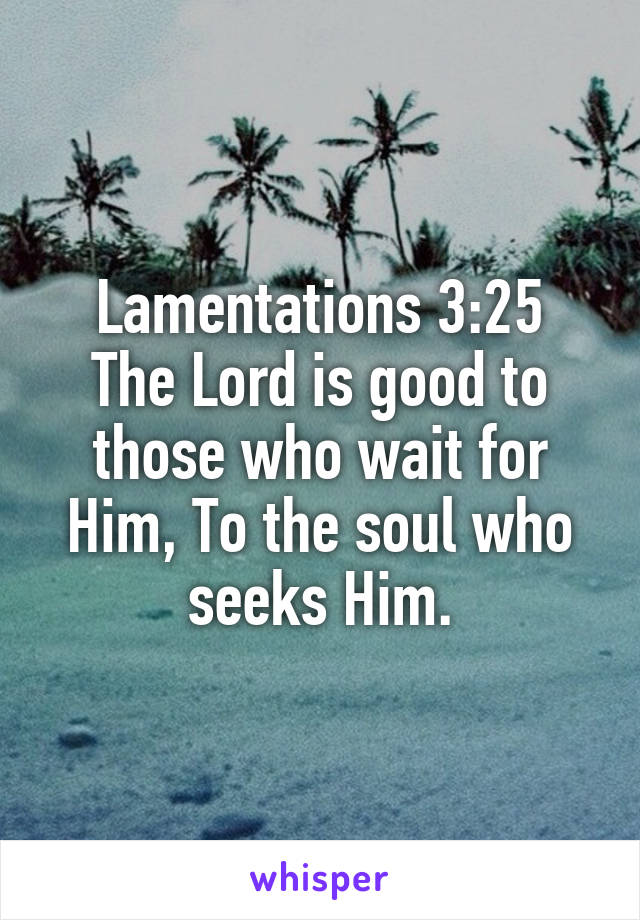 Lamentations 3:25
The Lord is good to those who wait for Him, To the soul who seeks Him.