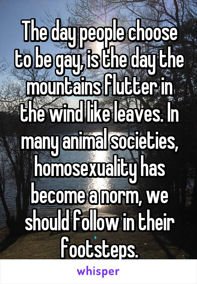 The day people choose to be gay, is the day the mountains flutter in the wind like leaves. In many animal societies, homosexuality has become a norm, we should follow in their footsteps.