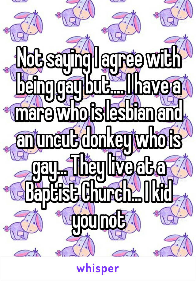 Not saying I agree with being gay but.... I have a mare who is lesbian and an uncut donkey who is gay... They live at a Baptist Church... I kid you not