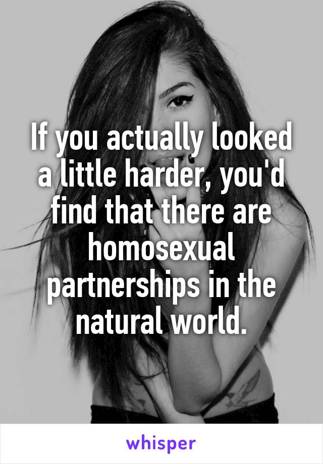 If you actually looked a little harder, you'd find that there are homosexual partnerships in the natural world.