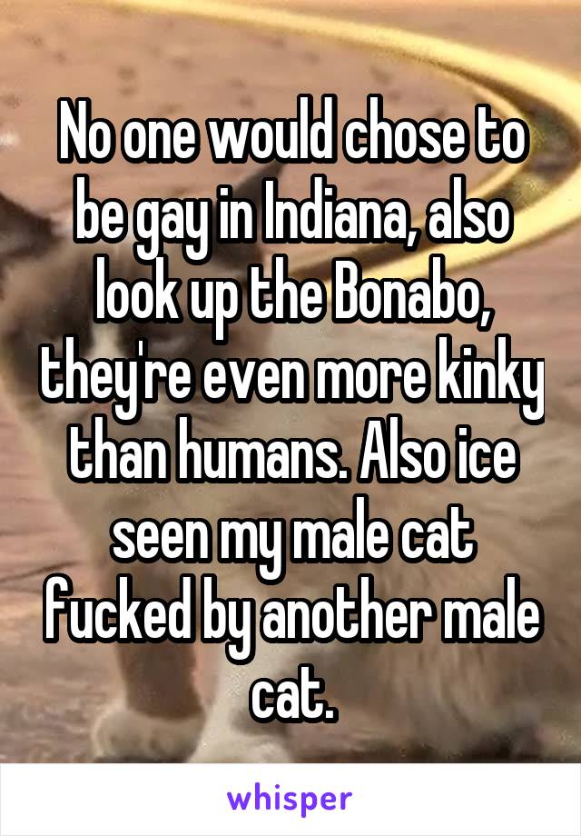 No one would chose to be gay in Indiana, also look up the Bonabo, they're even more kinky than humans. Also ice seen my male cat fucked by another male cat.