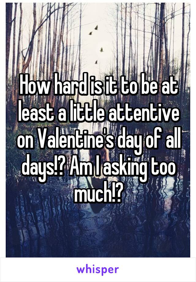 How hard is it to be at least a little attentive on Valentine's day of all days!? Am I asking too much!?