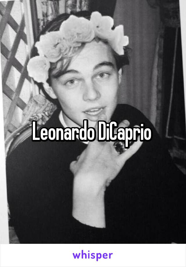 Leonardo DiCaprio 