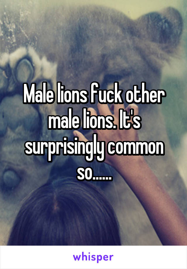 Male lions fuck other male lions. It's surprisingly common so......