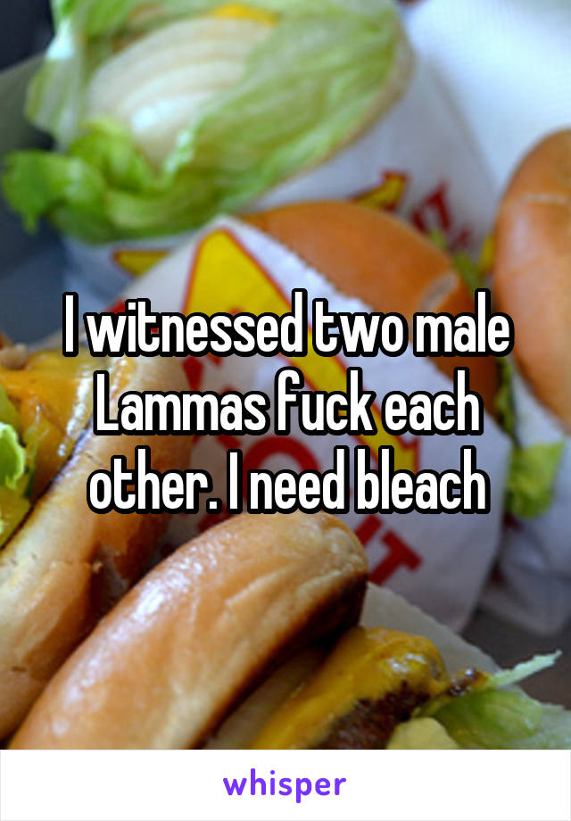 I witnessed two male Lammas fuck each other. I need bleach