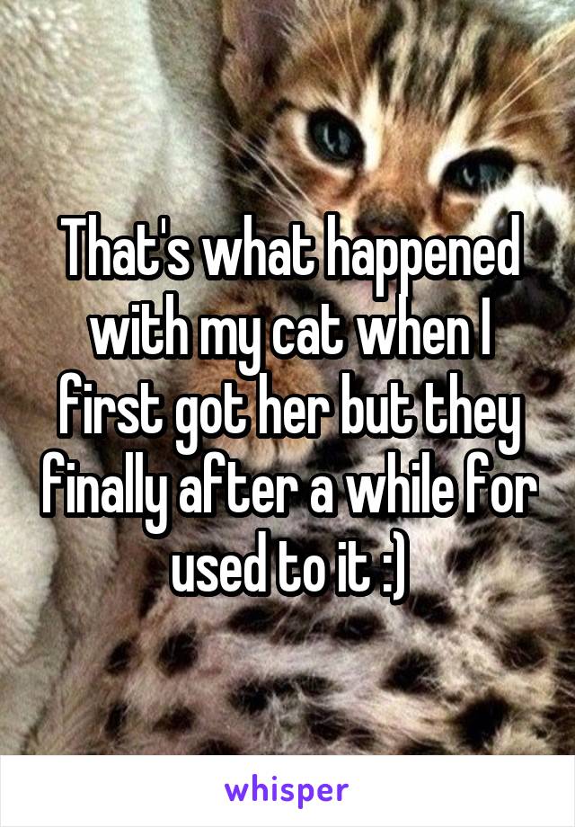 That's what happened with my cat when I first got her but they finally after a while for used to it :)