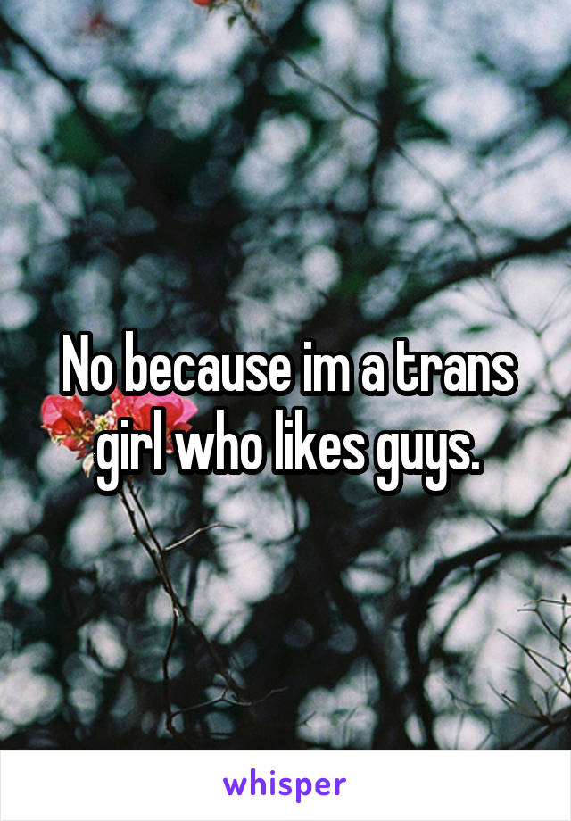 No because im a trans girl who likes guys.