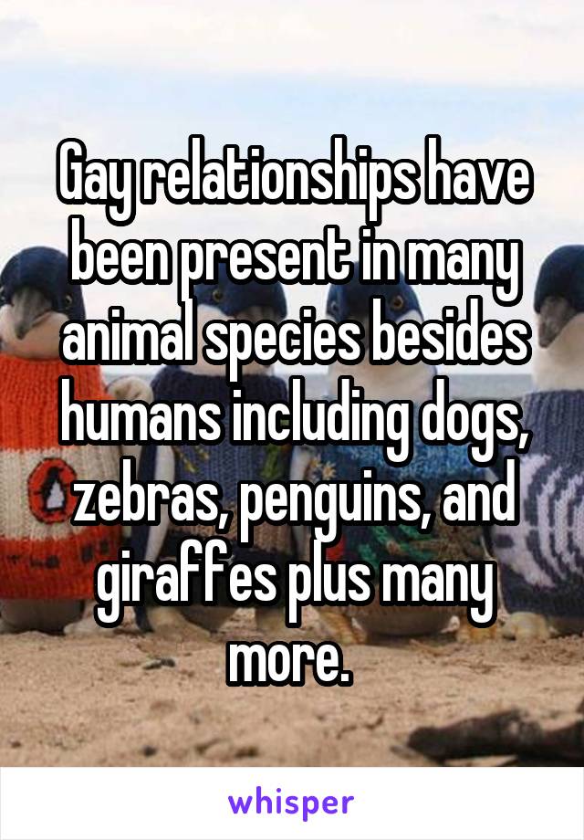 Gay relationships have been present in many animal species besides humans including dogs, zebras, penguins, and giraffes plus many more. 