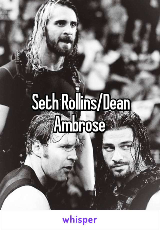 Seth Rollins/Dean Ambrose 