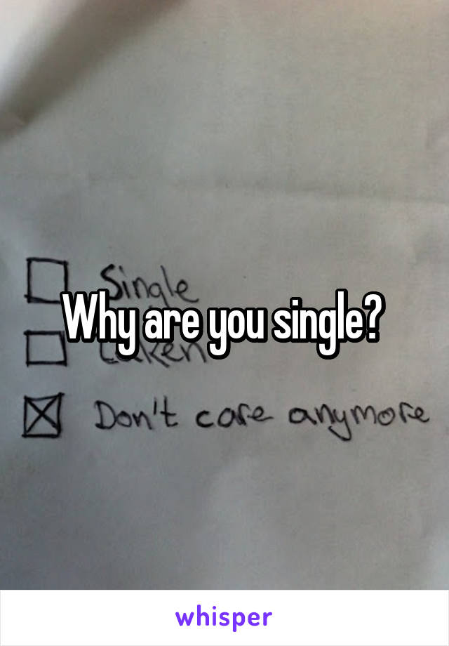 Why are you single? 