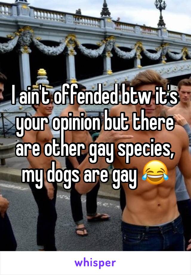 I ain't offended btw it's your opinion but there are other gay species, my dogs are gay 😂