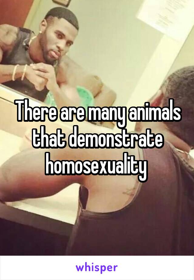 There are many animals that demonstrate homosexuality 