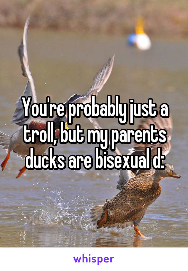 You're probably just a troll, but my parents ducks are bisexual d: