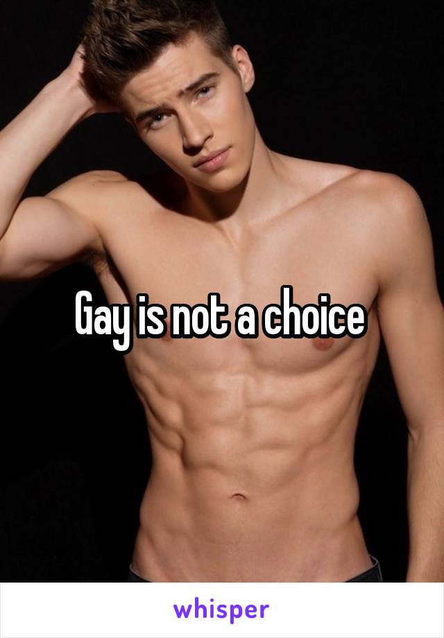 Gay is not a choice 