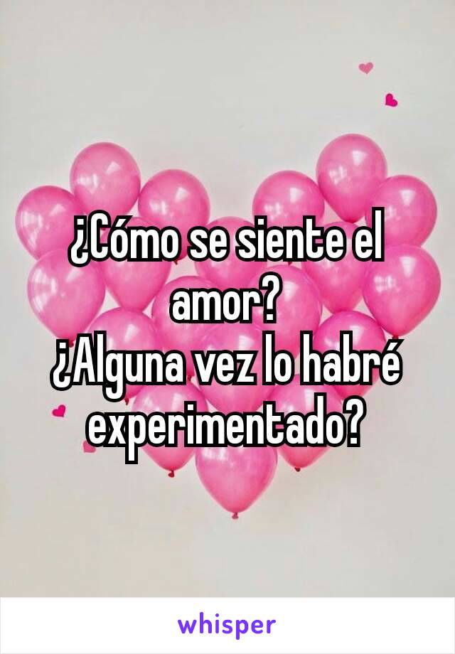 ¿Cómo se siente el amor?
¿Alguna vez lo habré experimentado?