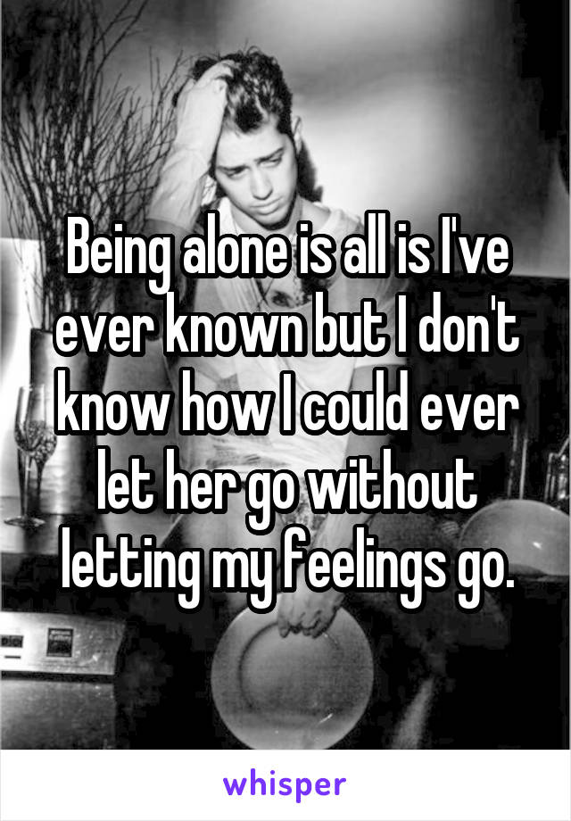 Being alone is all is I've ever known but I don't know how I could ever let her go without letting my feelings go.