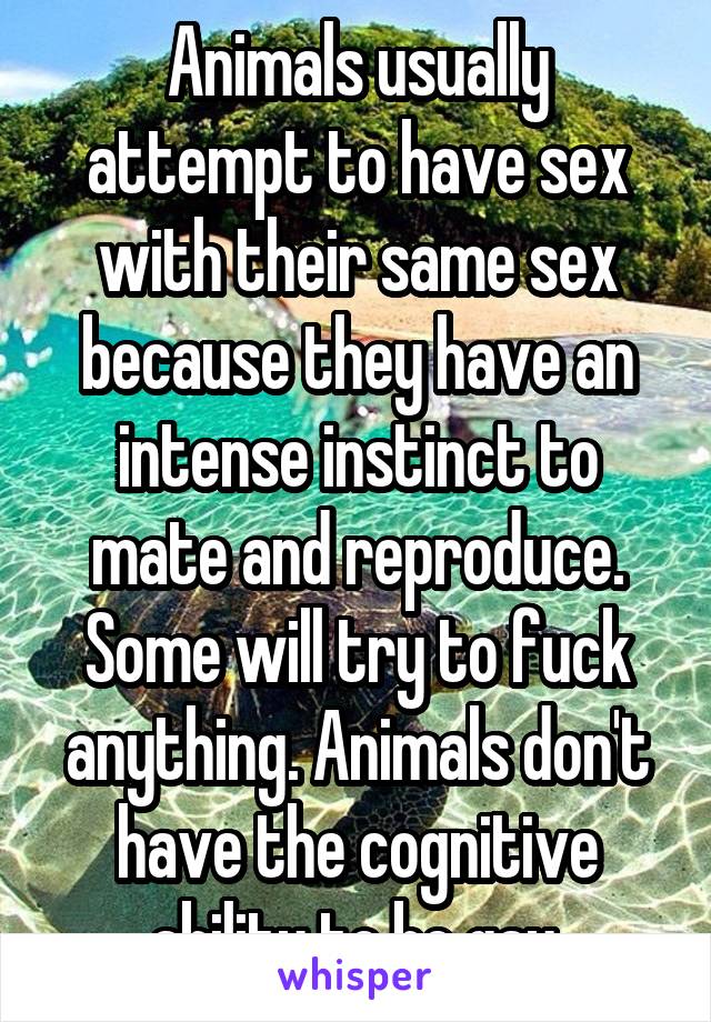 Animals usually attempt to have sex with their same sex because they have an intense instinct to mate and reproduce. Some will try to fuck anything. Animals don't have the cognitive ability to be gay.