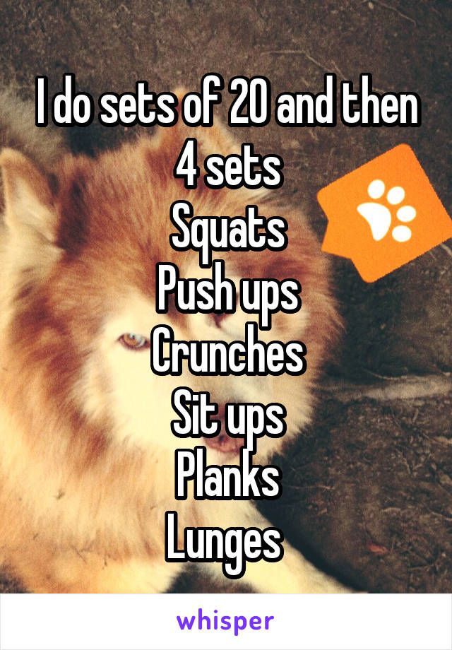 I do sets of 20 and then 4 sets
Squats
Push ups
Crunches
Sit ups
Planks
Lunges 