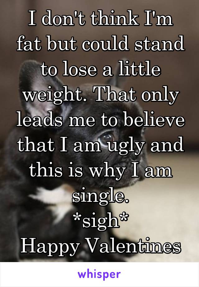 I don't think I'm fat but could stand to lose a little weight. That only leads me to believe that I am ugly and this is why I am single.
*sigh*
Happy Valentines Day to me.