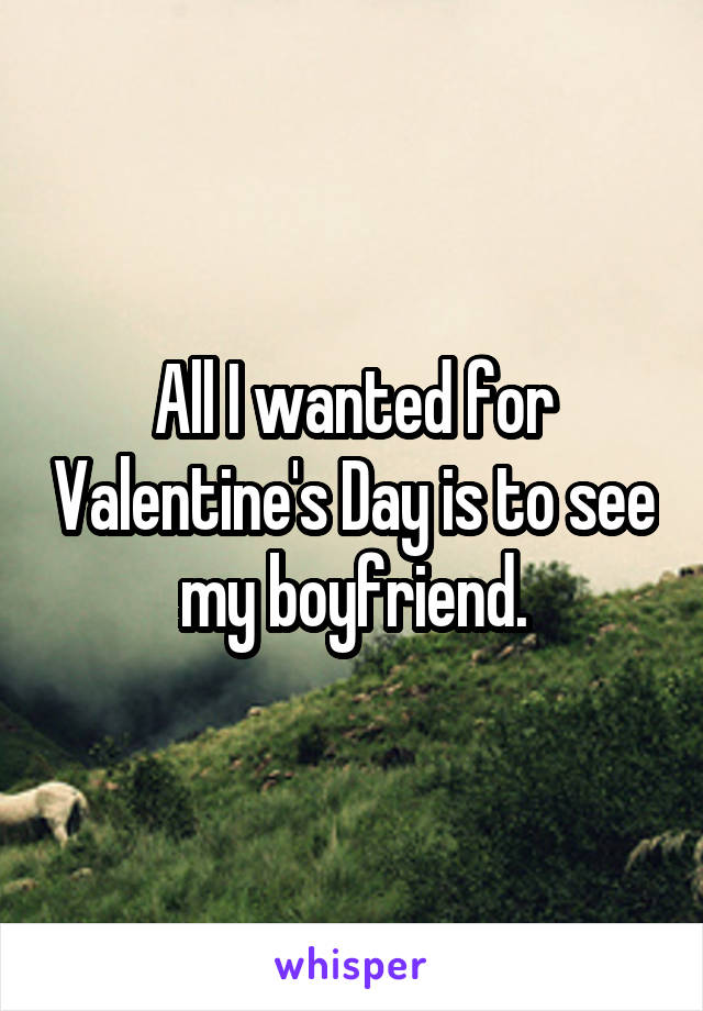 All I wanted for Valentine's Day is to see my boyfriend.