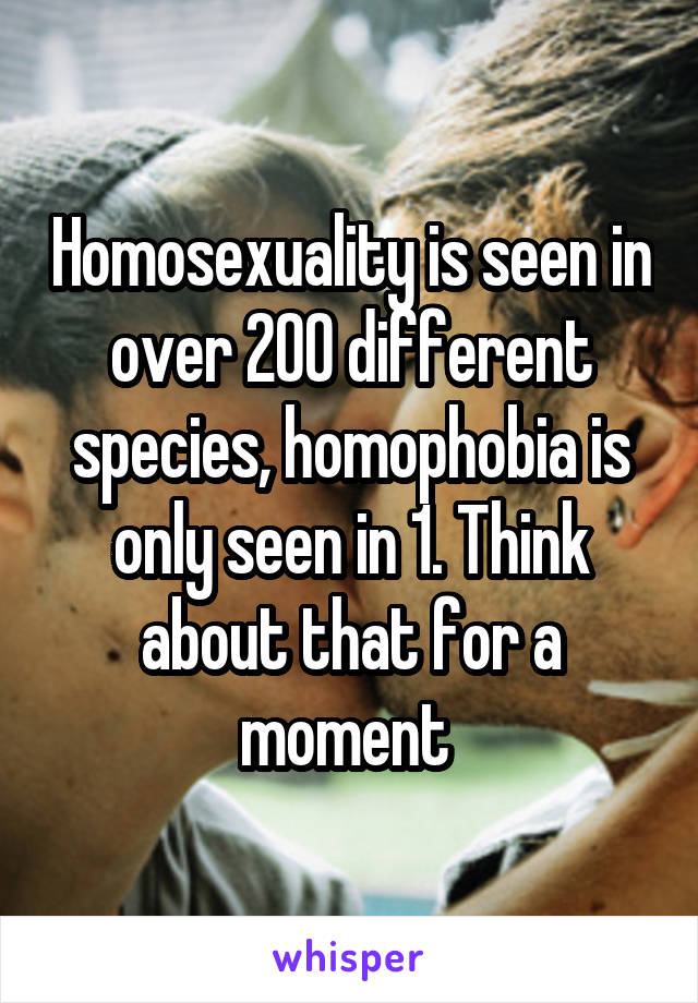 Homosexuality is seen in over 200 different species, homophobia is only seen in 1. Think about that for a moment 