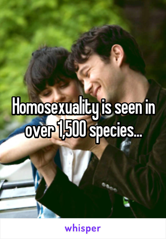 Homosexuality is seen in over 1,500 species...