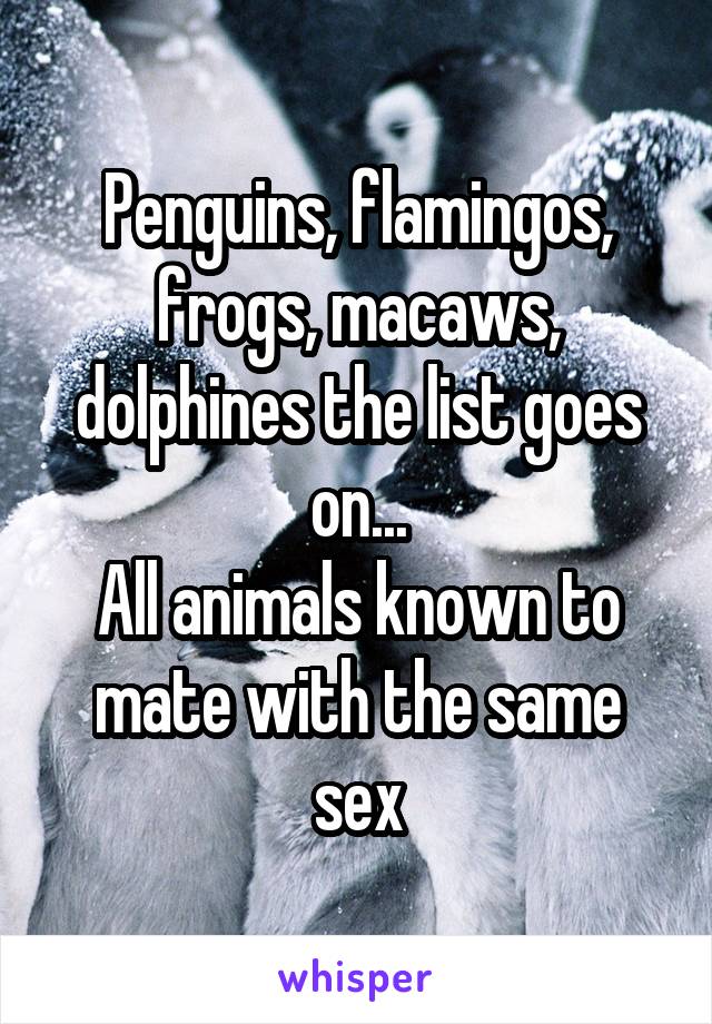 Penguins, flamingos, frogs, macaws, dolphines the list goes on...
All animals known to mate with the same sex