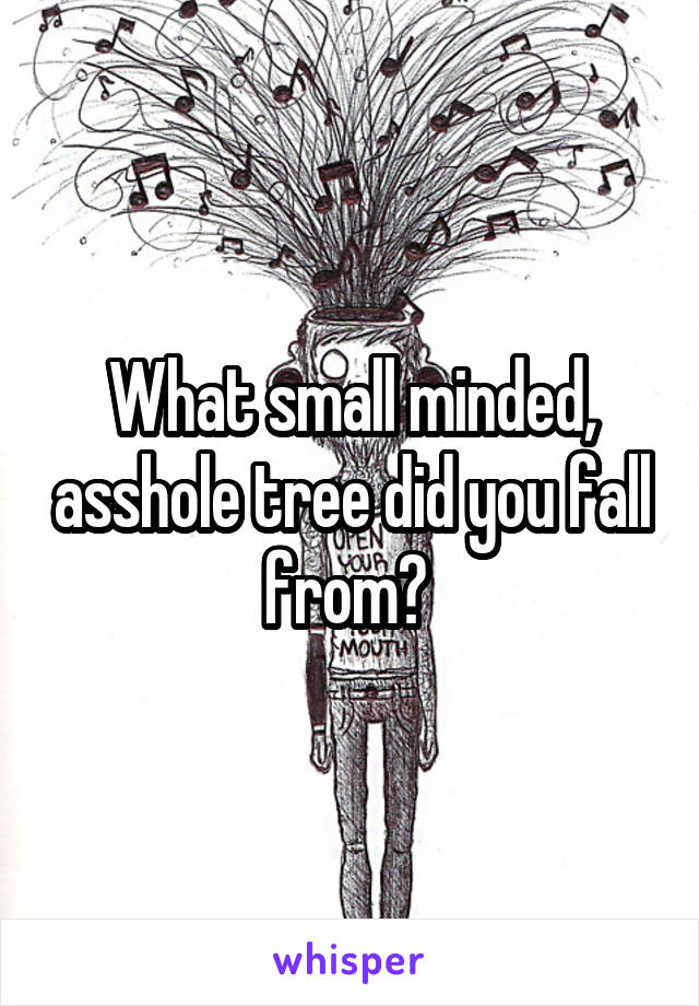 What small minded, asshole tree did you fall from? 