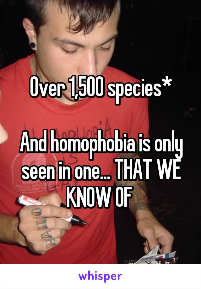 Over 1,500 species*

And homophobia is only seen in one... THAT WE KNOW OF 