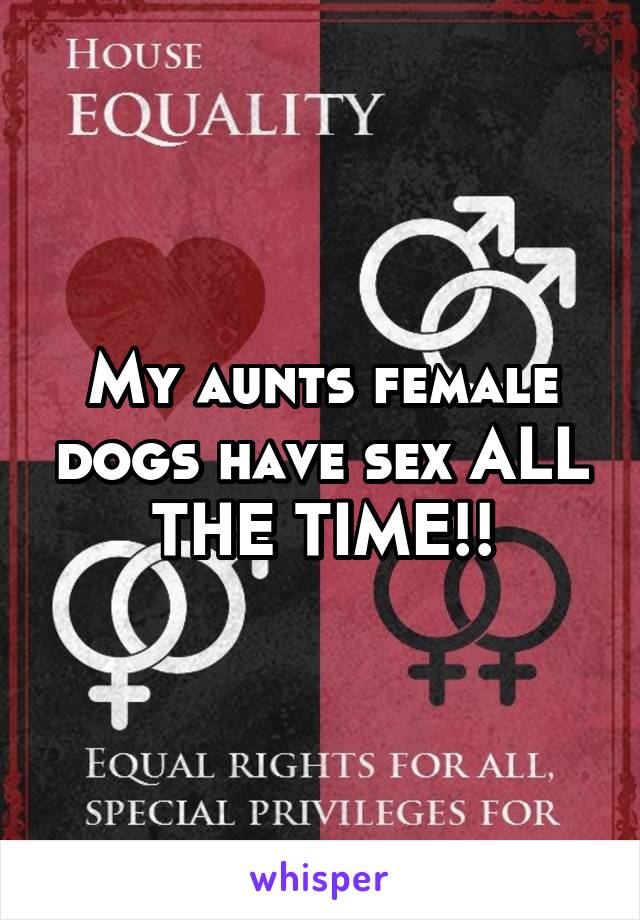 My aunts female dogs have sex ALL THE TIME!!