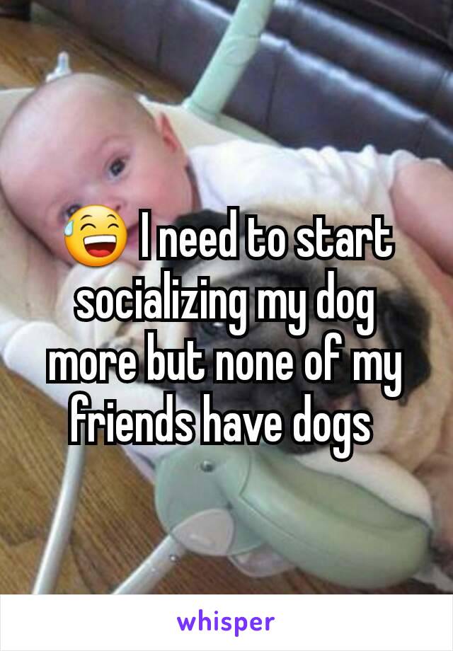 😅 I need to start socializing my dog more but none of my friends have dogs 