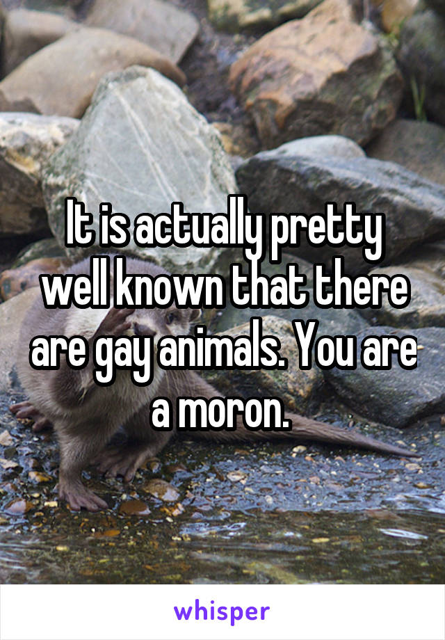 It is actually pretty well known that there are gay animals. You are a moron. 