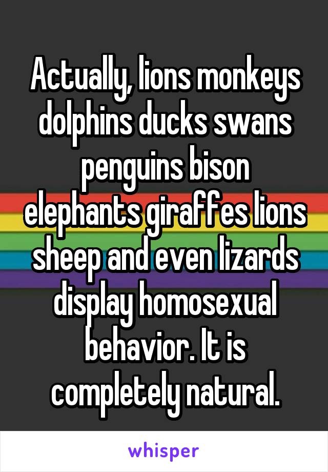 Actually, lions monkeys dolphins ducks swans penguins bison elephants giraffes lions sheep and even lizards display homosexual behavior. It is completely natural.