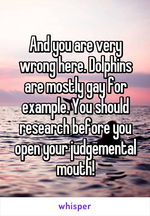 And you are very wrong here. Dolphins are mostly gay for example. You should research before you open your judgemental mouth!