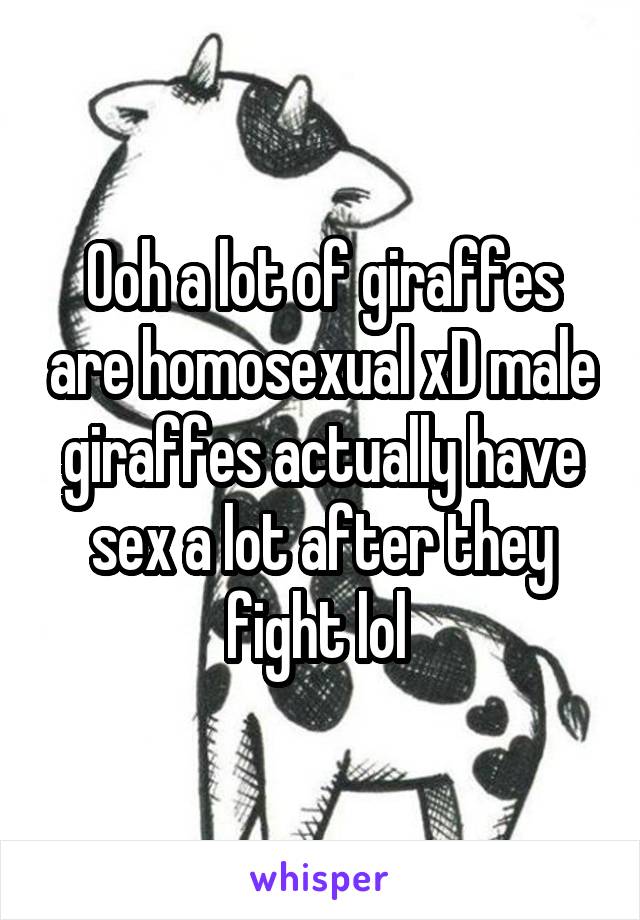 Ooh a lot of giraffes are homosexual xD male giraffes actually have sex a lot after they fight lol 