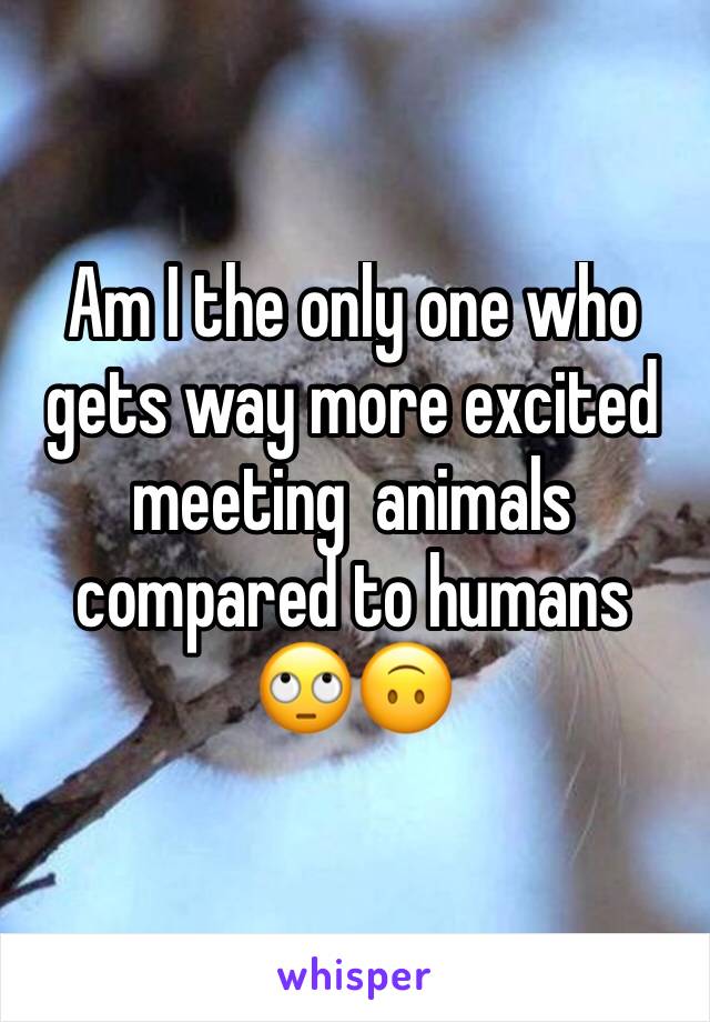 Am I the only one who gets way more excited meeting  animals compared to humans 
🙄🙃