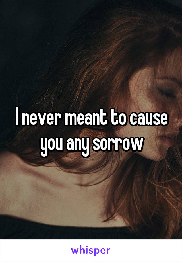 I never meant to cause you any sorrow