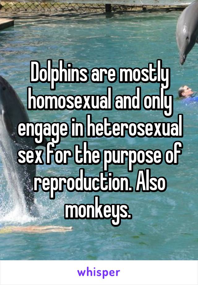 Dolphins are mostly homosexual and only engage in heterosexual sex for the purpose of reproduction. Also monkeys. 