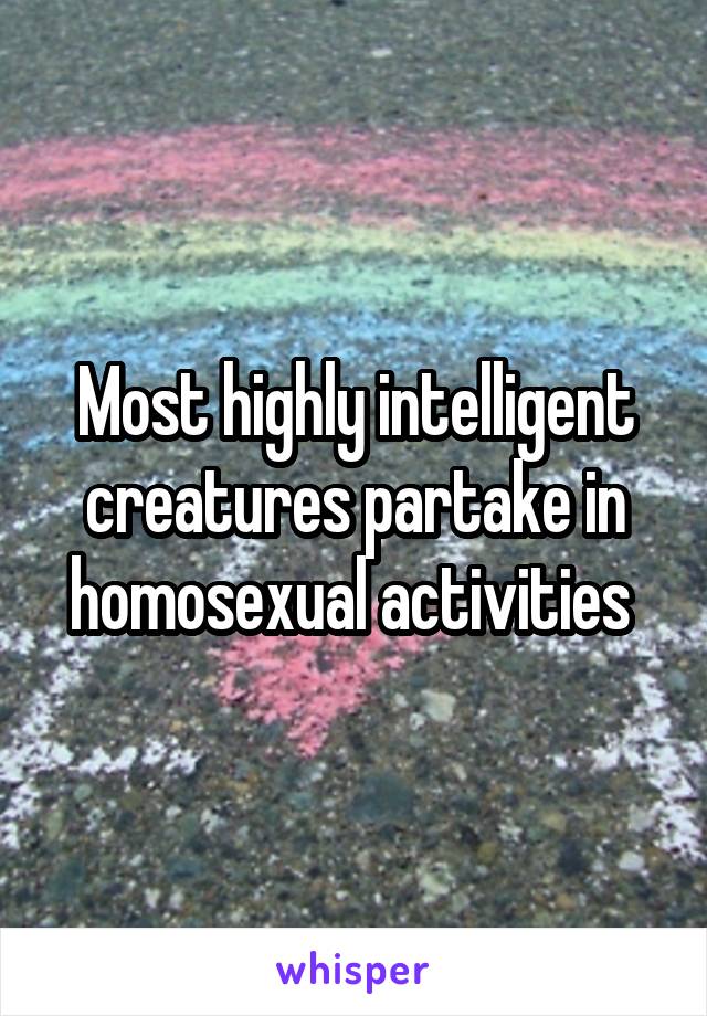 Most highly intelligent creatures partake in homosexual activities 